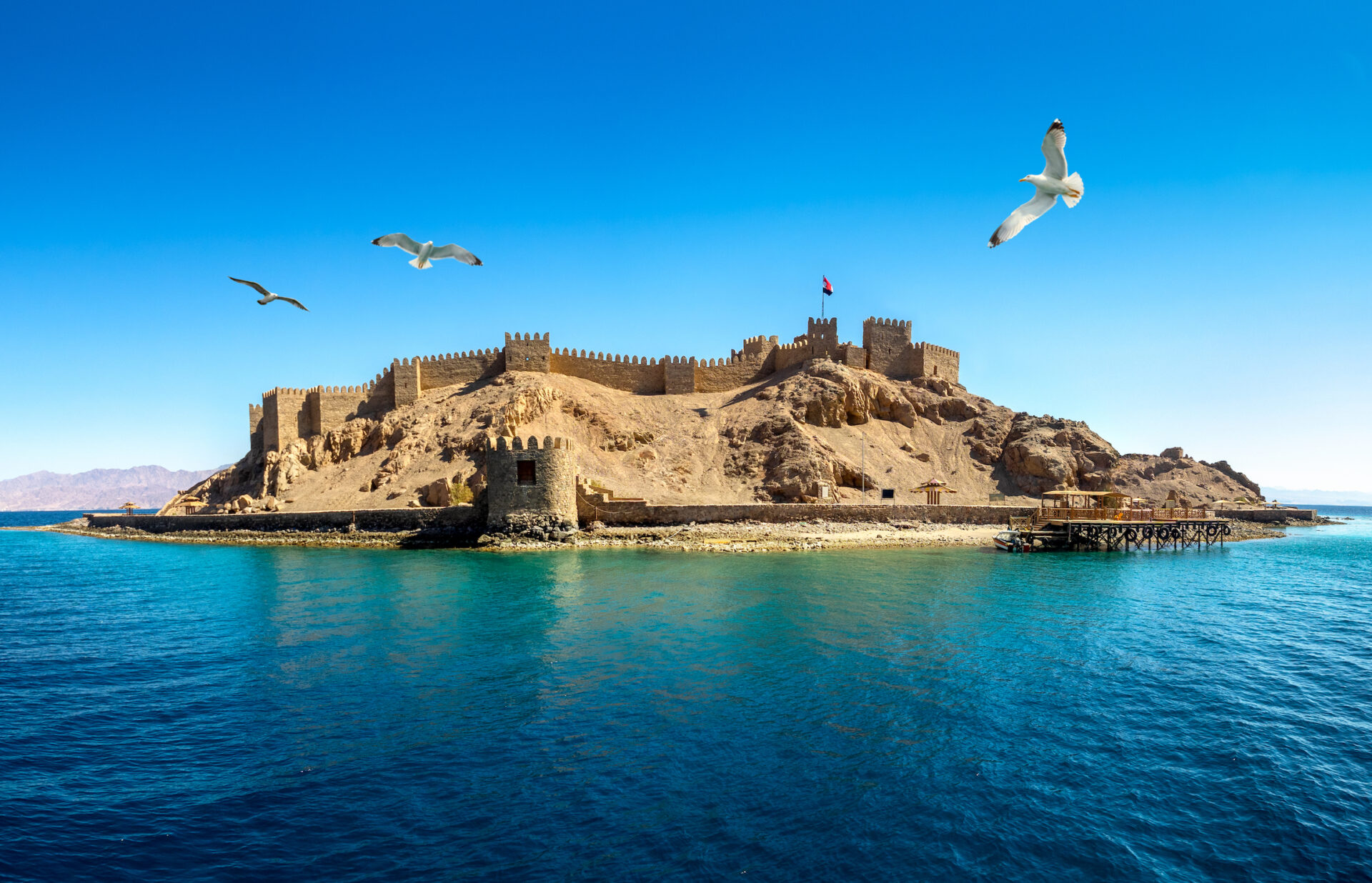 Seascape z starożytnego zamku Saladyna na wyspie Farun w Zatoce Akaba i latające mewy nad Morzem Czerwonym. Stara forteca sułtana Salah El Din w Tabie, podróż na Półwysep Synaj.