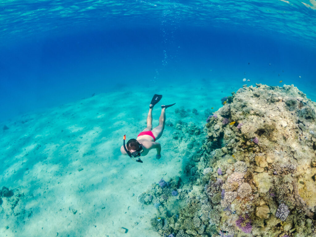 Człowiek snorkelujący i freedivingujący przy krawędzi rafy koralowej w Morzu Czerwonym