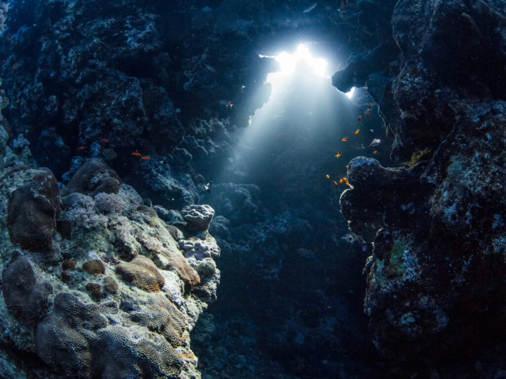 Szlakami najpiękniejszych raf koralowych w Sharm el Sheikh  - Światło słoneczne w podwodnej jaskini (Ras Mohammed, Morze Czerwone, Sharm El Sheikh, Egipt) 